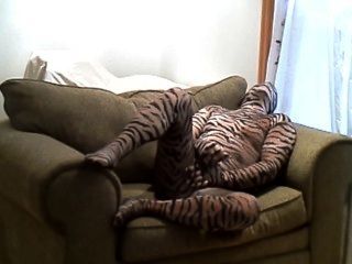 कामुक कठिन बाघ बंद झटके जबकि एक बड़ी कुर्सी पर झूठ बोल रही है